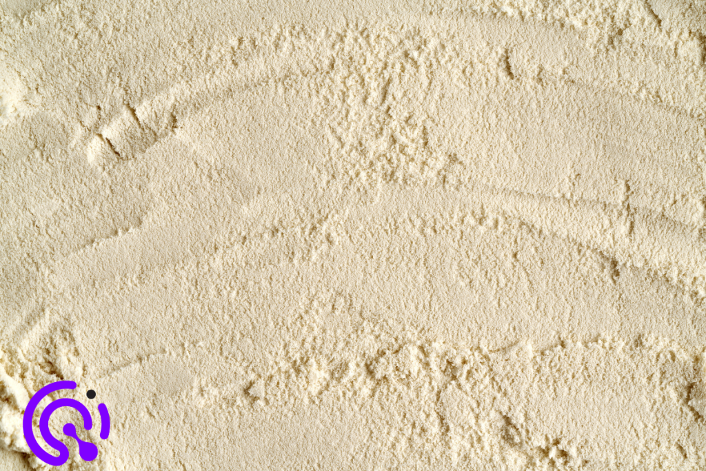 whey protein vs plant protein