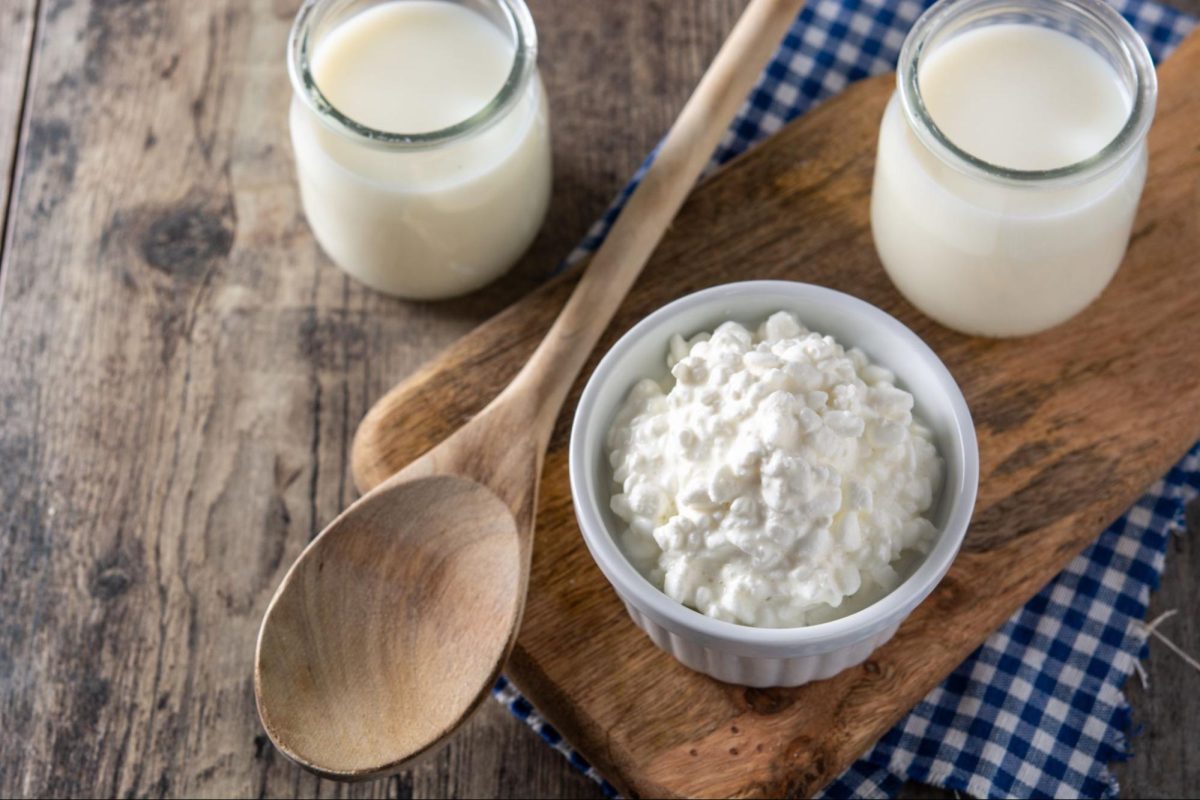The Lactobacillus Genus