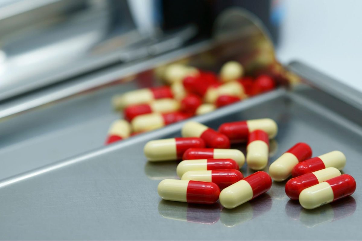 What Do NMN Supplements on the Market Look Like
